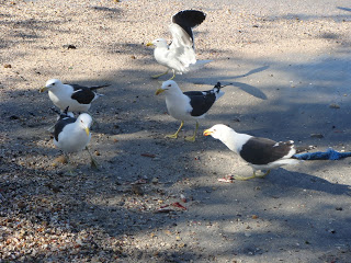 FAÇA AMIGOS