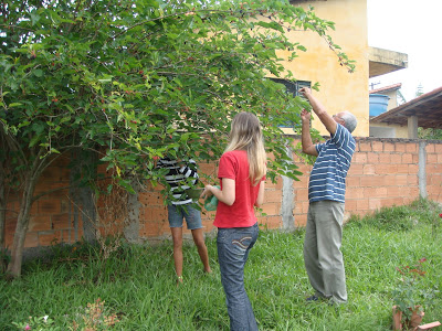 COLHEITA EM FAMÍLIA