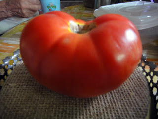 TOMATE GIGANTE